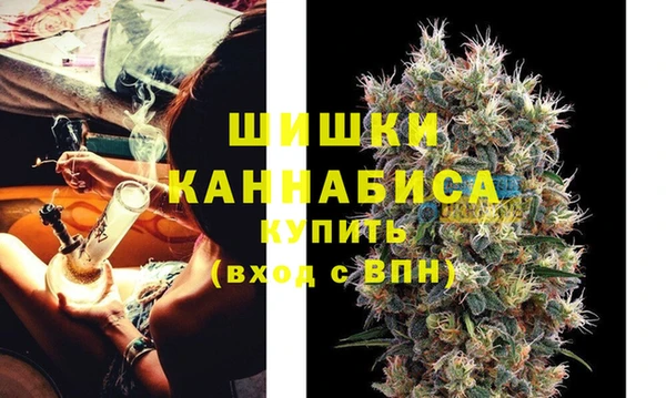 apvp Няндома