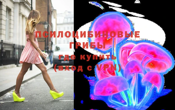 apvp Няндома
