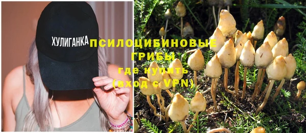 apvp Няндома